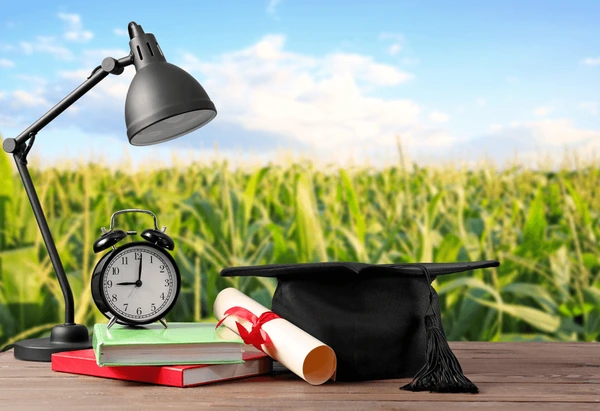 mortar-board-diploma-lamp-clock-600nw-1579784491